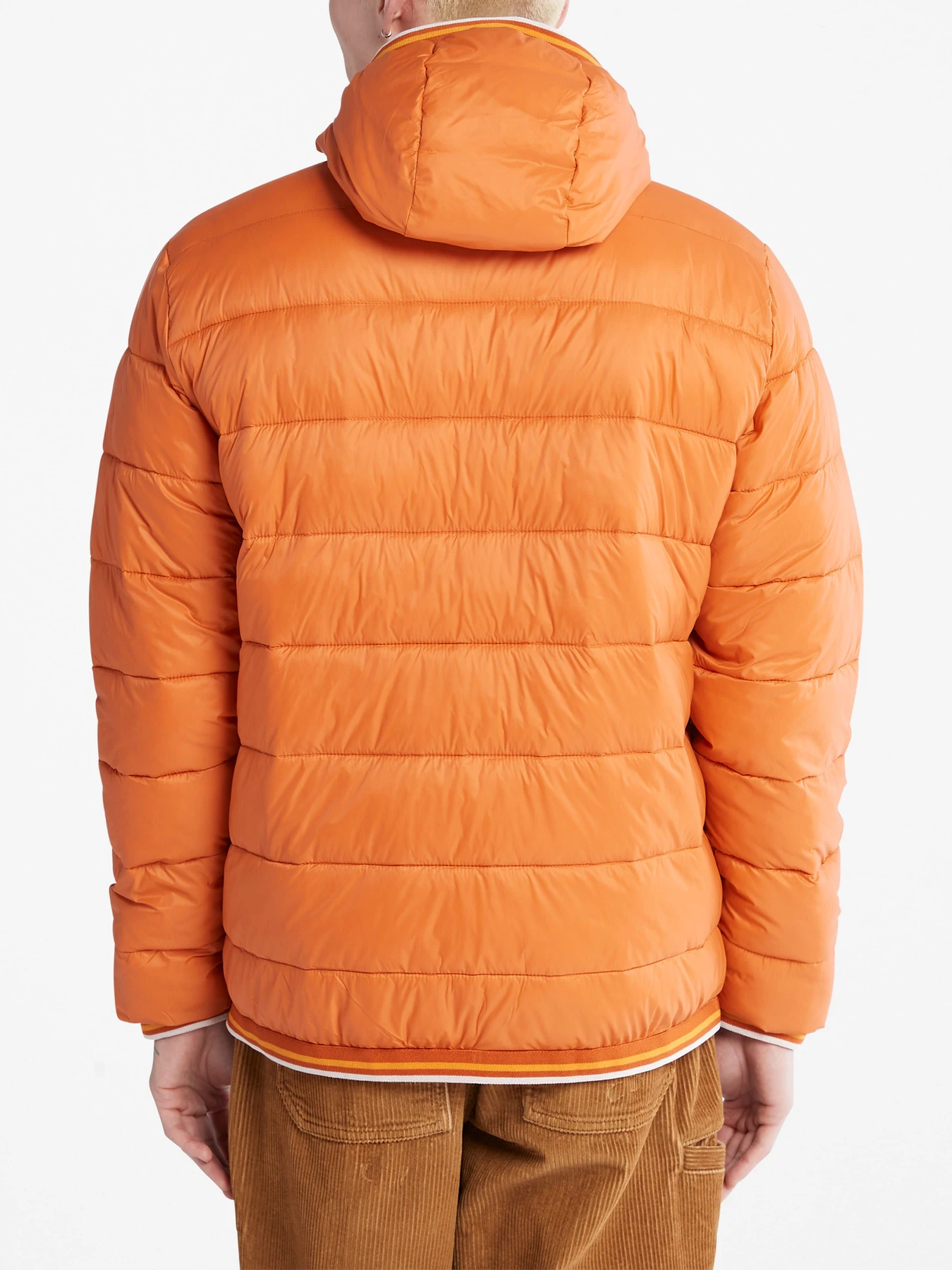 Куртки и дубленки Timberland модель A2GA1643 Куртки и дубленки Timberland модель A2GA1643 Фото