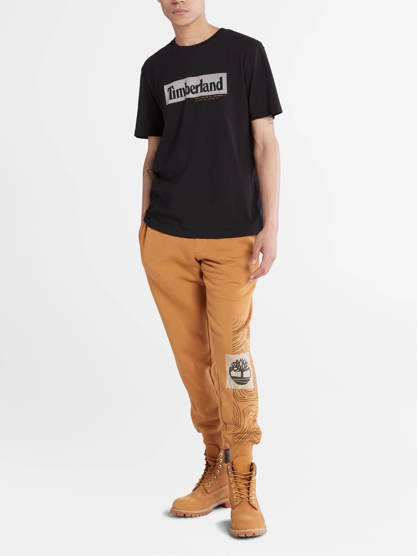 Футболки и поло Timberland модель A5U9H001 Футболки и поло Timberland модель A5U9H001 Фото