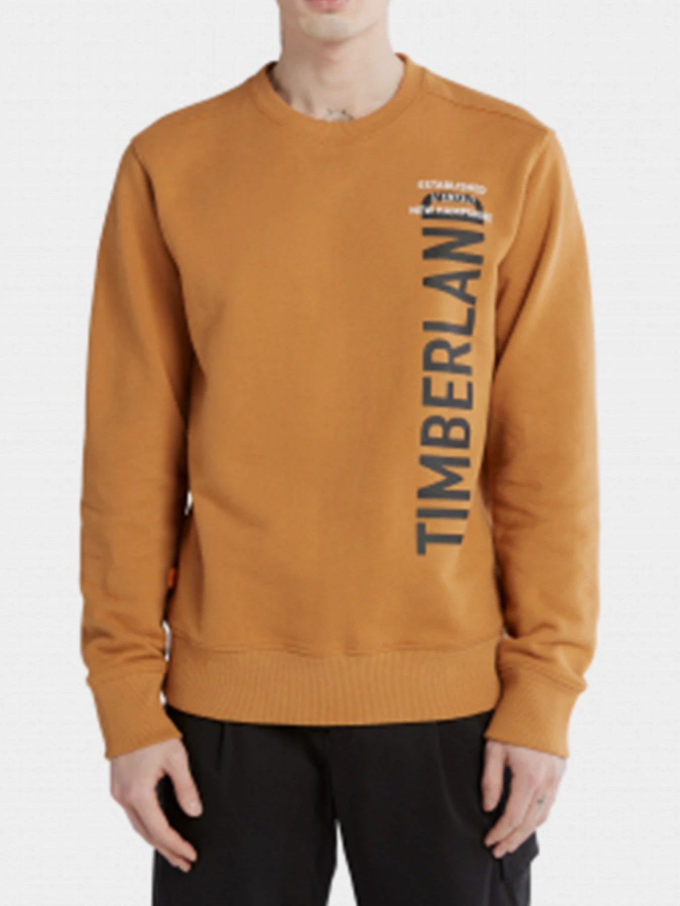 Худи и свитшоты Timberland модель TB0A5UGDP47 Худи и свитшоты Timberland модель TB0A5UGDP47 Фото