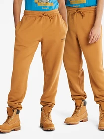 Брюки Timberland модель TB0A5UHNP47 Фото