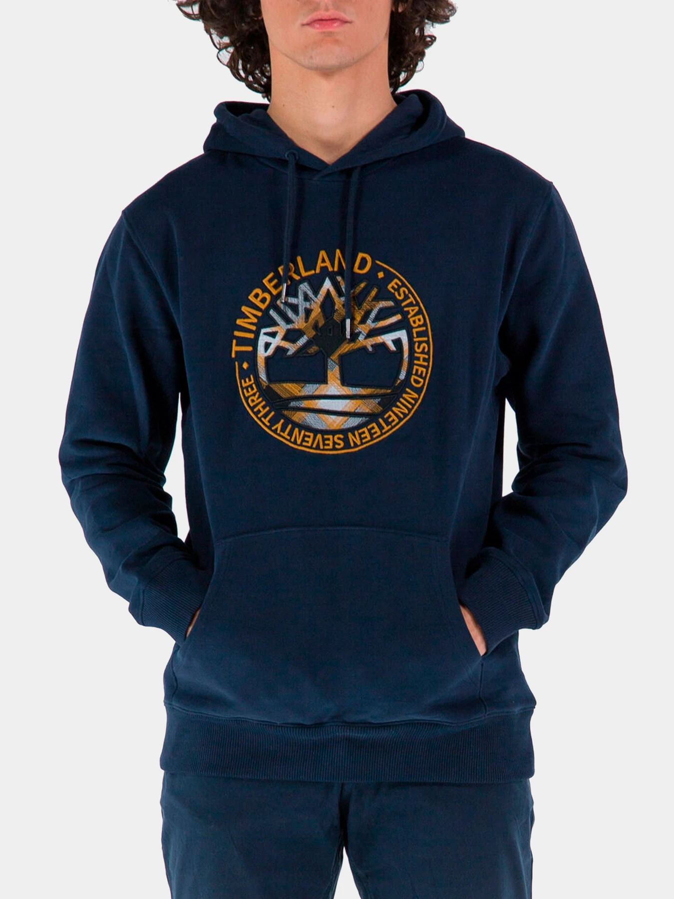 Худи и свитшоты Timberland модель TB0A5Y4N433 Худи и свитшоты Timberland модель TB0A5Y4N433 Фото
