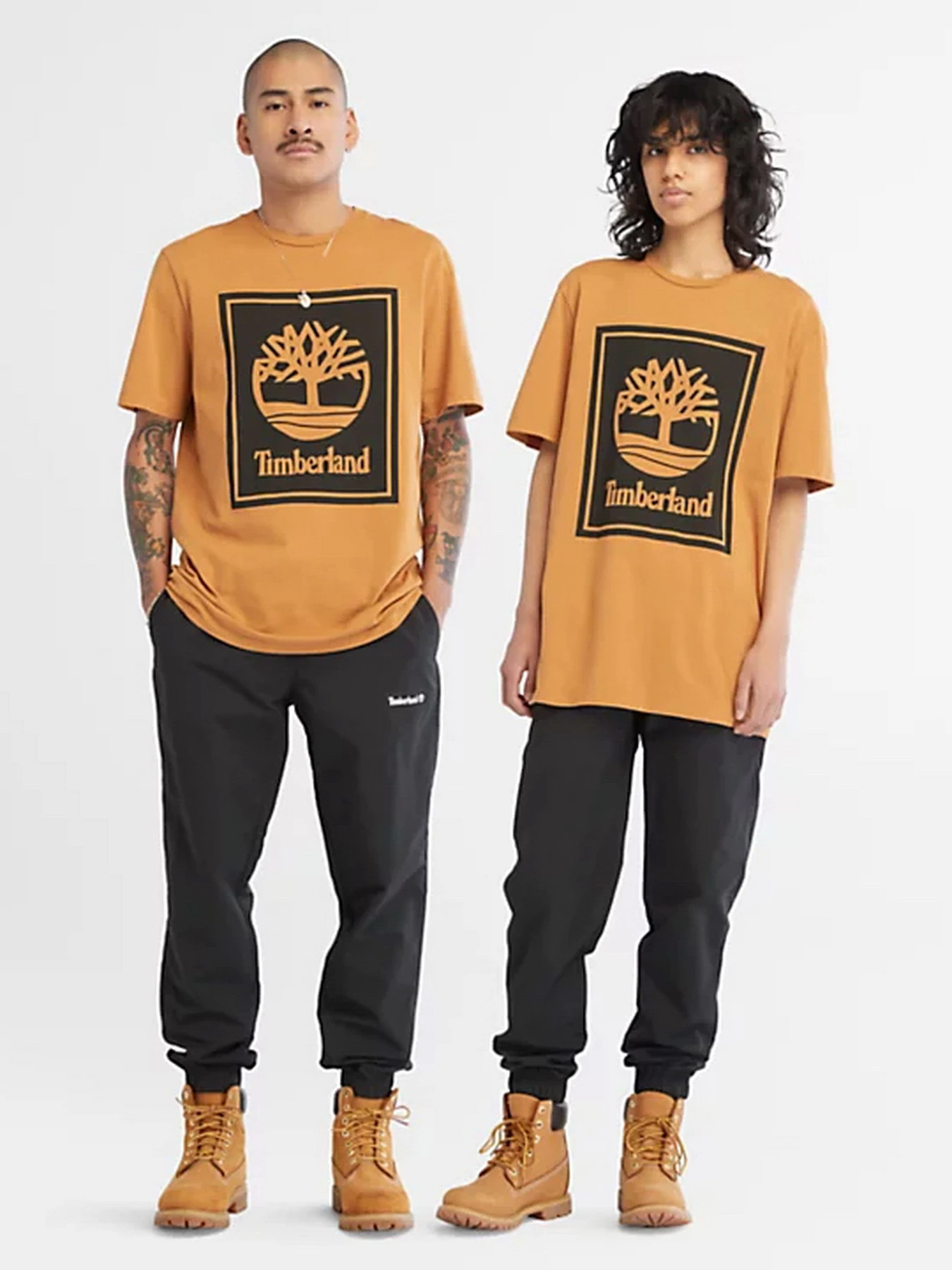 Футболки и поло Timberland модель TB0A6CBTP57 Футболки и поло Timberland модель TB0A6CBTP57 Фото