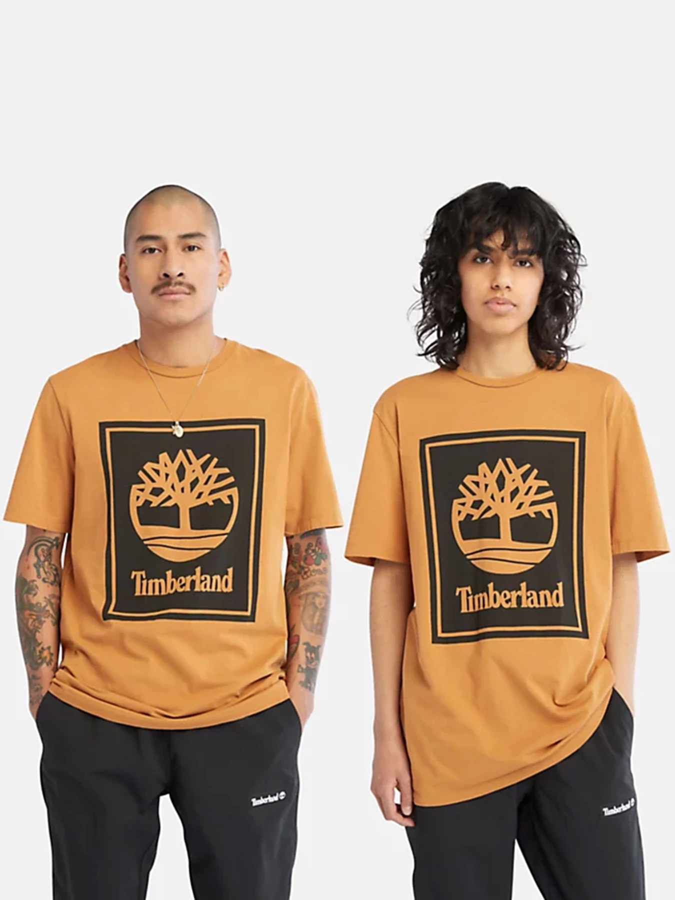 Футболки и поло Timberland модель TB0A6CBTP57 Футболки и поло Timberland модель TB0A6CBTP57 Фото