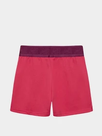 Шорты NIKE модель DM8218-666 Фото