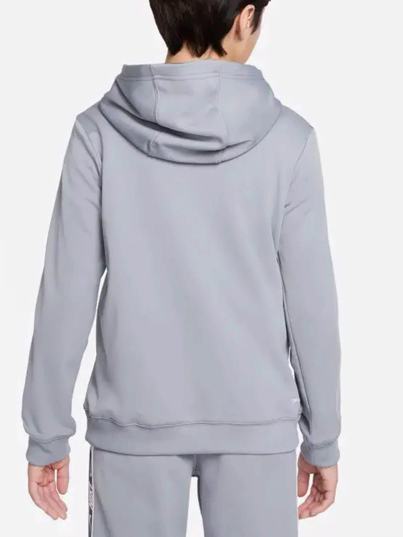 Худи и свитшоты NIKE модель DQ5101-073 Худи и свитшоты NIKE модель DQ5101-073 Фото