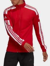Худи и свитшоты Adidas модель GP6464 Фото