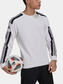 Худи и свитшоты Adidas модель GT6641 Фото
