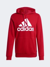 Худи и свитшоты Adidas модель GV0249 Фото