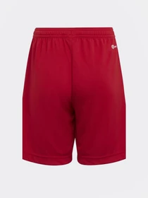Шорты Adidas модель H57501 Фото
