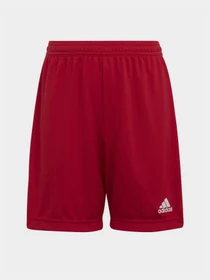 Шорты Adidas модель H57501 Фото
