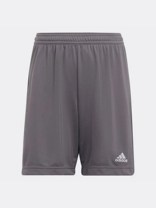 Шорты Adidas модель H57507 Фото