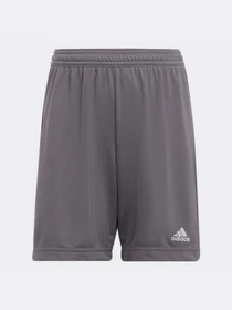 Шорты Adidas модель H57507 Фото