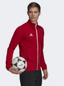 Худи и свитшоты Adidas модель H57537 Фото