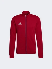 Худи и свитшоты Adidas модель H57537 Фото