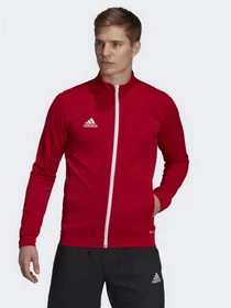 Худи и свитшоты Adidas модель H57537 Фото