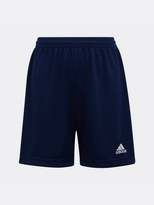 Шорты Adidas модель H57565 Фото