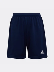 Шорты Adidas модель H57565 Фото
