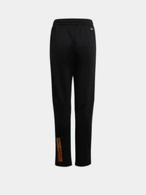 Брюки Adidas модель H59776 Фото