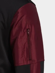 Худи и свитшоты Adidas модель H60011 Фото