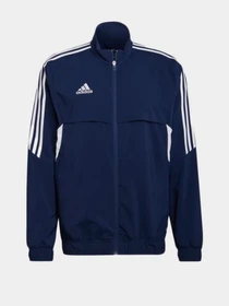 Худи и свитшоты Adidas модель HA6246 Фото