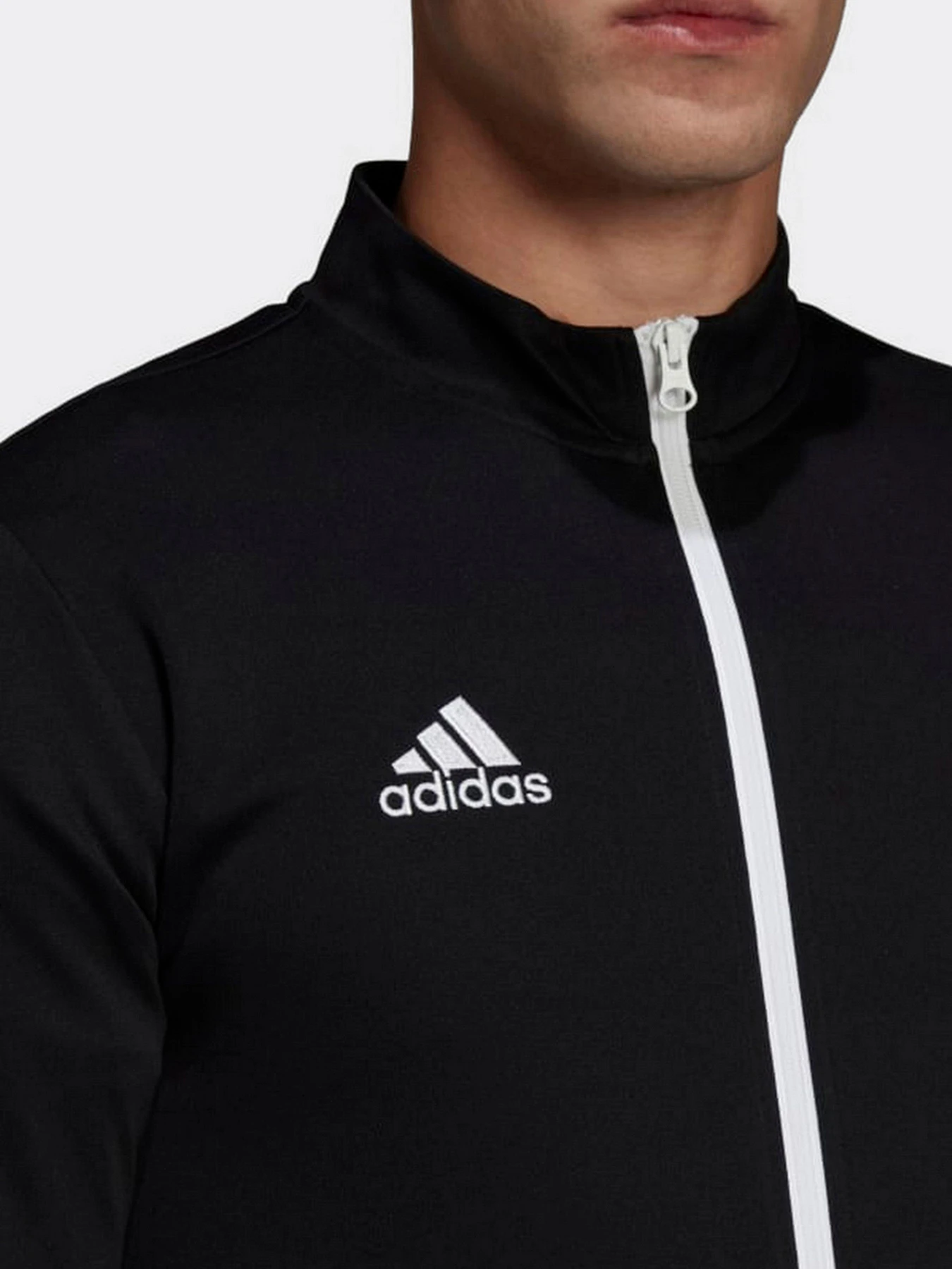 Худи и свитшоты Adidas модель HB0573 Худи и свитшоты Adidas модель HB0573 Фото