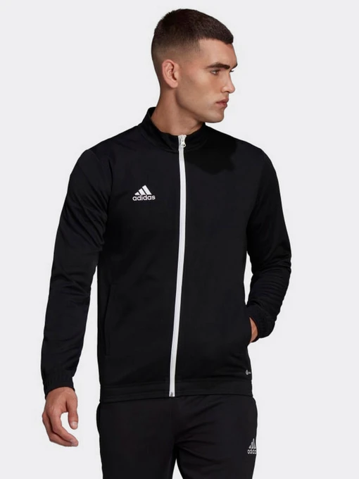 Худи и свитшоты Adidas модель HB0573 Фото