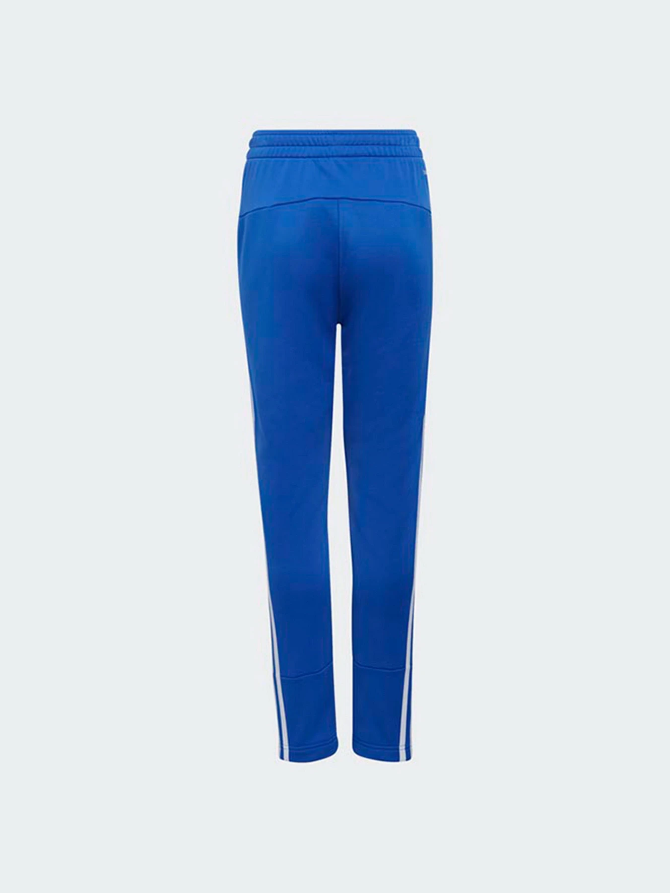Брюки Adidas модель HB9926 Брюки Adidas модель HB9926 Фото
