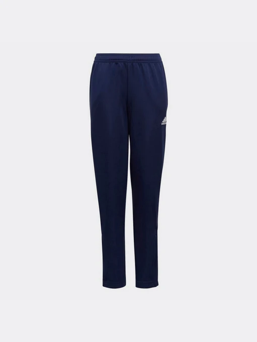Брюки Adidas модель HC0336 Фото