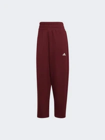 Брюки Adidas модель HD6828 Фото