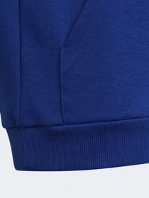Худи и свитшоты Adidas модель HE9289 Фото