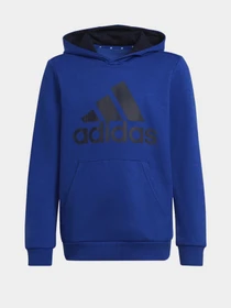 Худи и свитшоты Adidas модель HE9289 Фото
