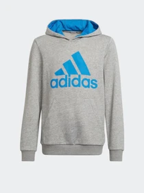 Худи и свитшоты Adidas модель HE9291 Фото