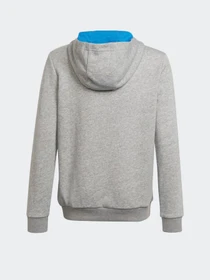 Худи и свитшоты Adidas модель HE9291 Фото