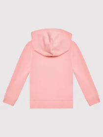 Худи и свитшоты Calvin Klein модель IU0IU00206-TIV Фото