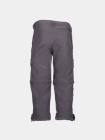 Брюки The North Face модель NF00CL9Q0C51 Фото