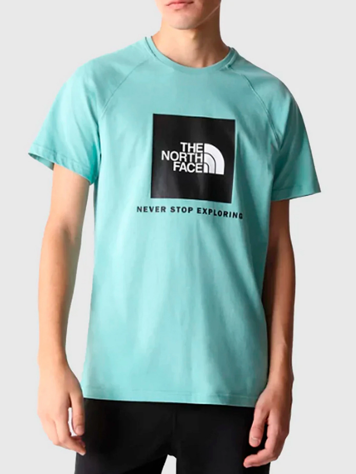 Футболки и поло The North Face модель NF0A3BQO6R71 Футболки и поло The North Face модель NF0A3BQO6R71 Фото