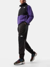 Брюки The North Face модель NF0A3Y41JK31 Фото