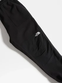 Брюки The North Face модель NF0A3Y41JK31 Фото