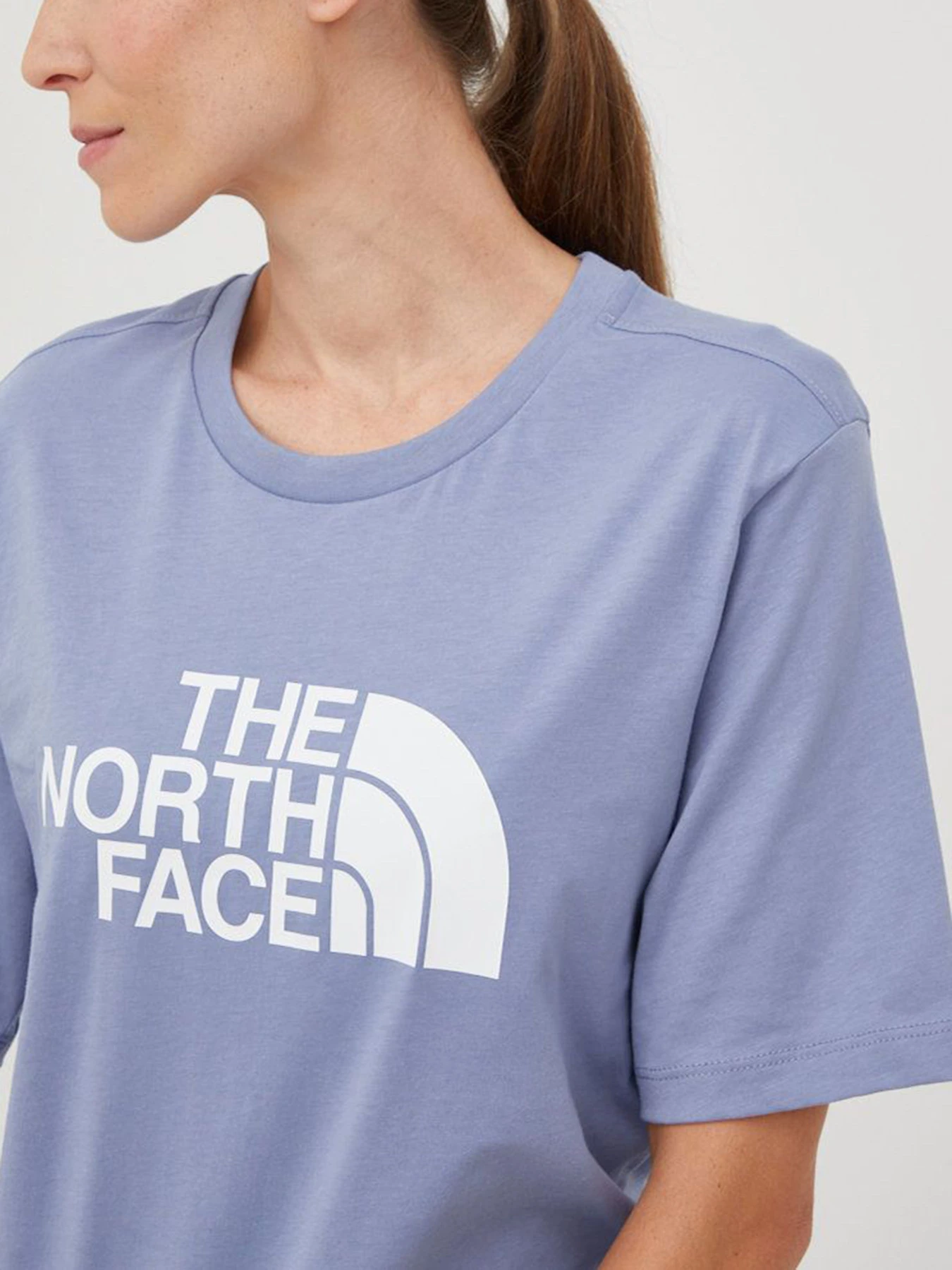 Футболки и поло The North Face модель NF0A4M5P73A1 Футболки и поло The North Face модель NF0A4M5P73A1 Фото