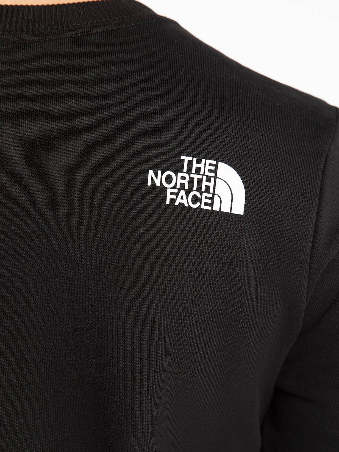 Худи и свитшоты The North Face модель NF0A4M7EJK31 Худи и свитшоты The North Face модель NF0A4M7EJK31 Фото