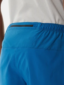 Шорты The North Face модель NF0A537LM191 Фото