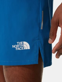 Шорты The North Face модель NF0A537LM191 Фото