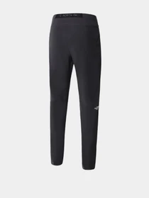 Брюки The North Face модель NF0A558EY0K1 Фото
