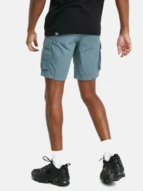 Шорты The North Face модель NF0A55B6A9L1 Фото