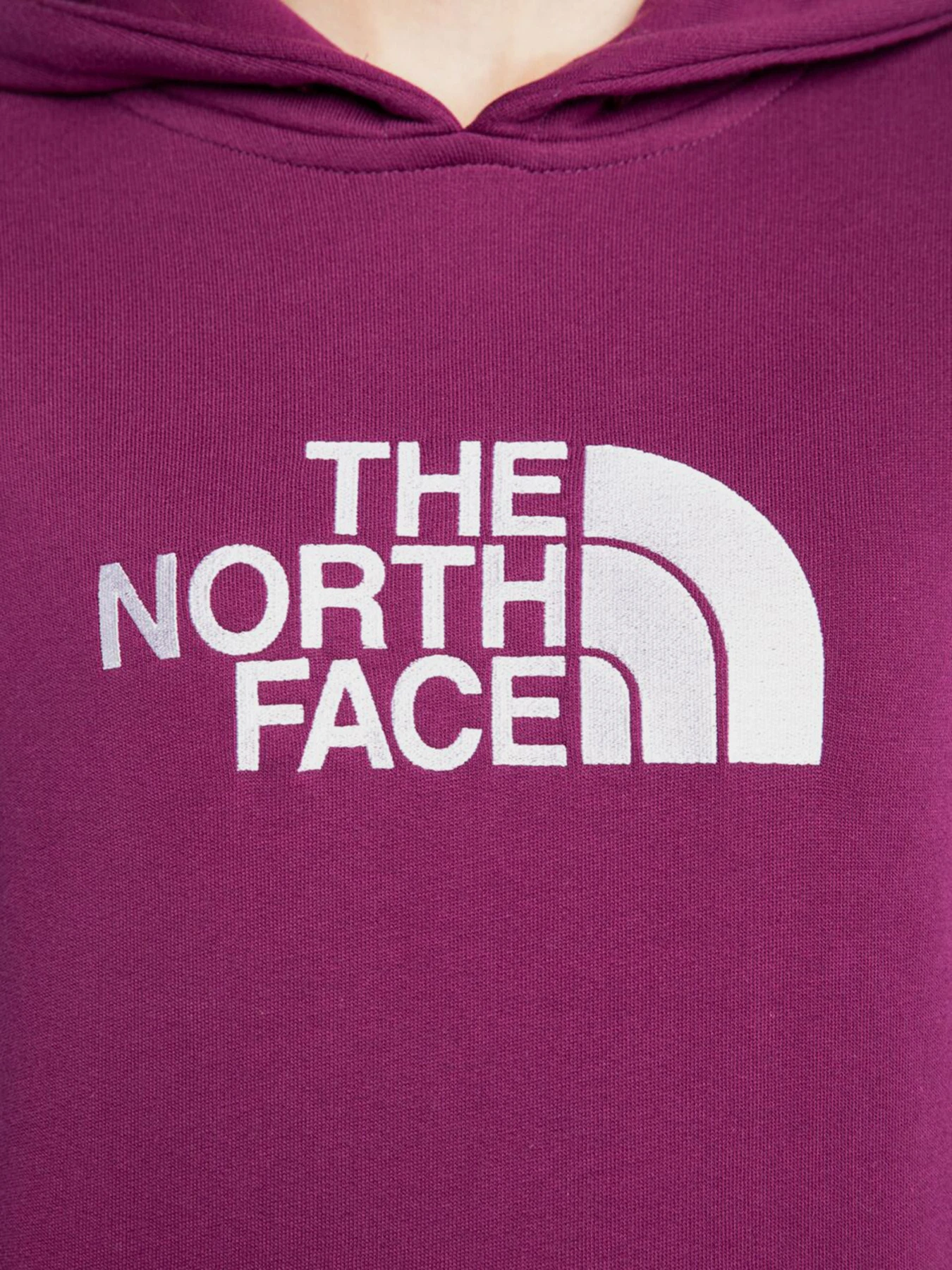 Худи и свитшоты The North Face модель NF0A55ECGP51 Фото