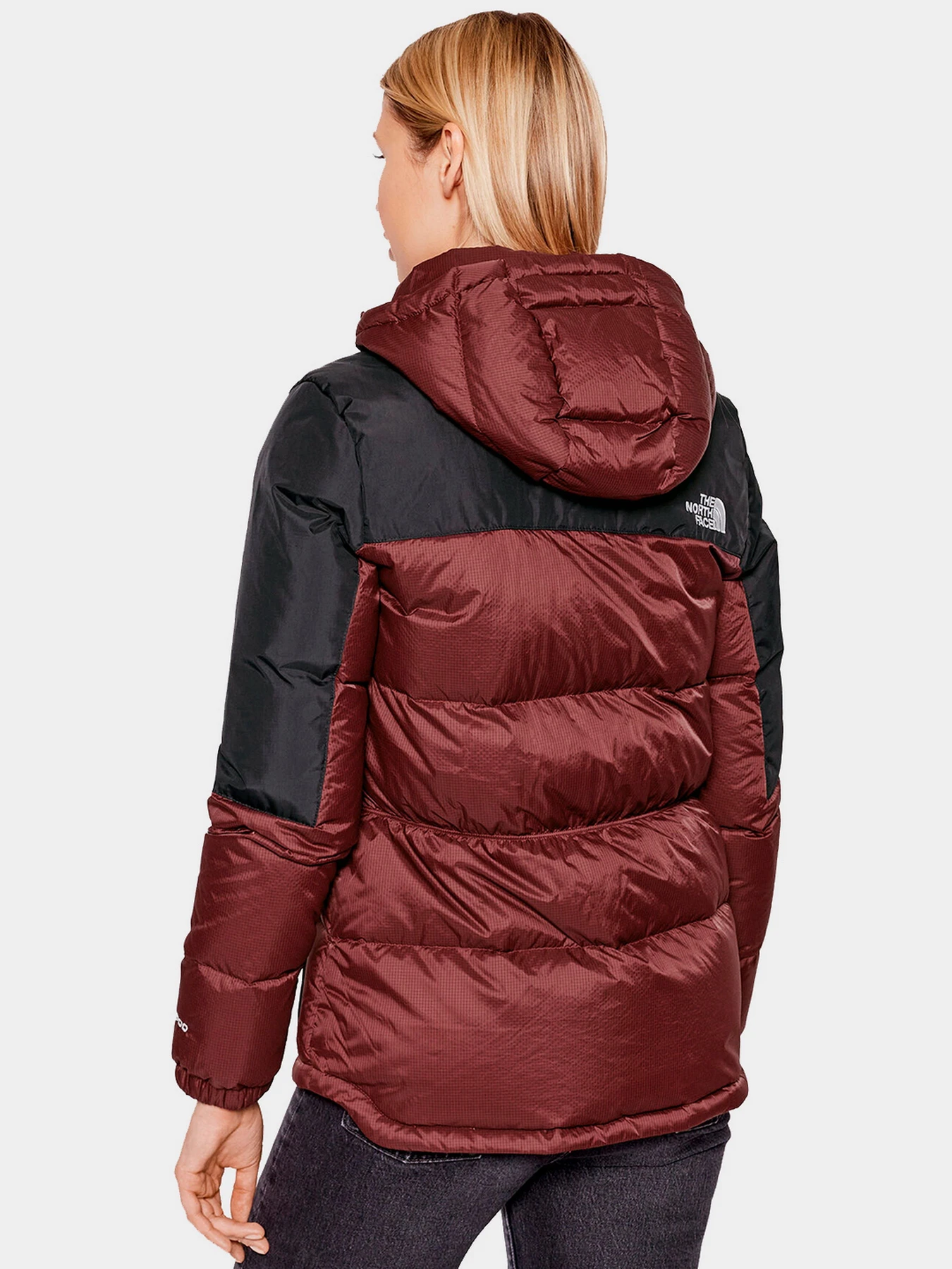 Куртки и дубленки The North Face модель NF0A55H419S1 Куртки и дубленки The North Face модель NF0A55H419S1 Фото