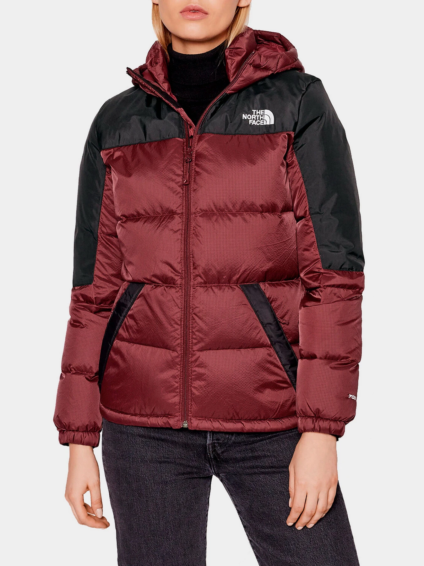 Куртки и дубленки The North Face модель NF0A55H419S1 Куртки и дубленки The North Face модель NF0A55H419S1 Фото