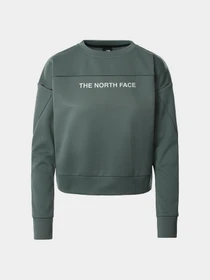Худи и свитшоты The North Face модель NF0A55HDHBS1 Фото