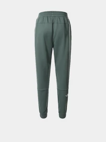 Брюки The North Face модель NF0A55HFHBS1 Фото