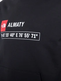 Худи и свитшоты The North Face модель NF0A55HXJK31 Фото